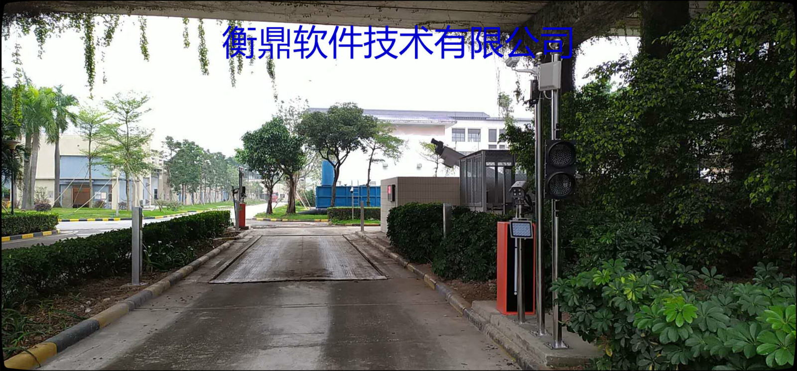 1582768943810921.jpg 4.jpg